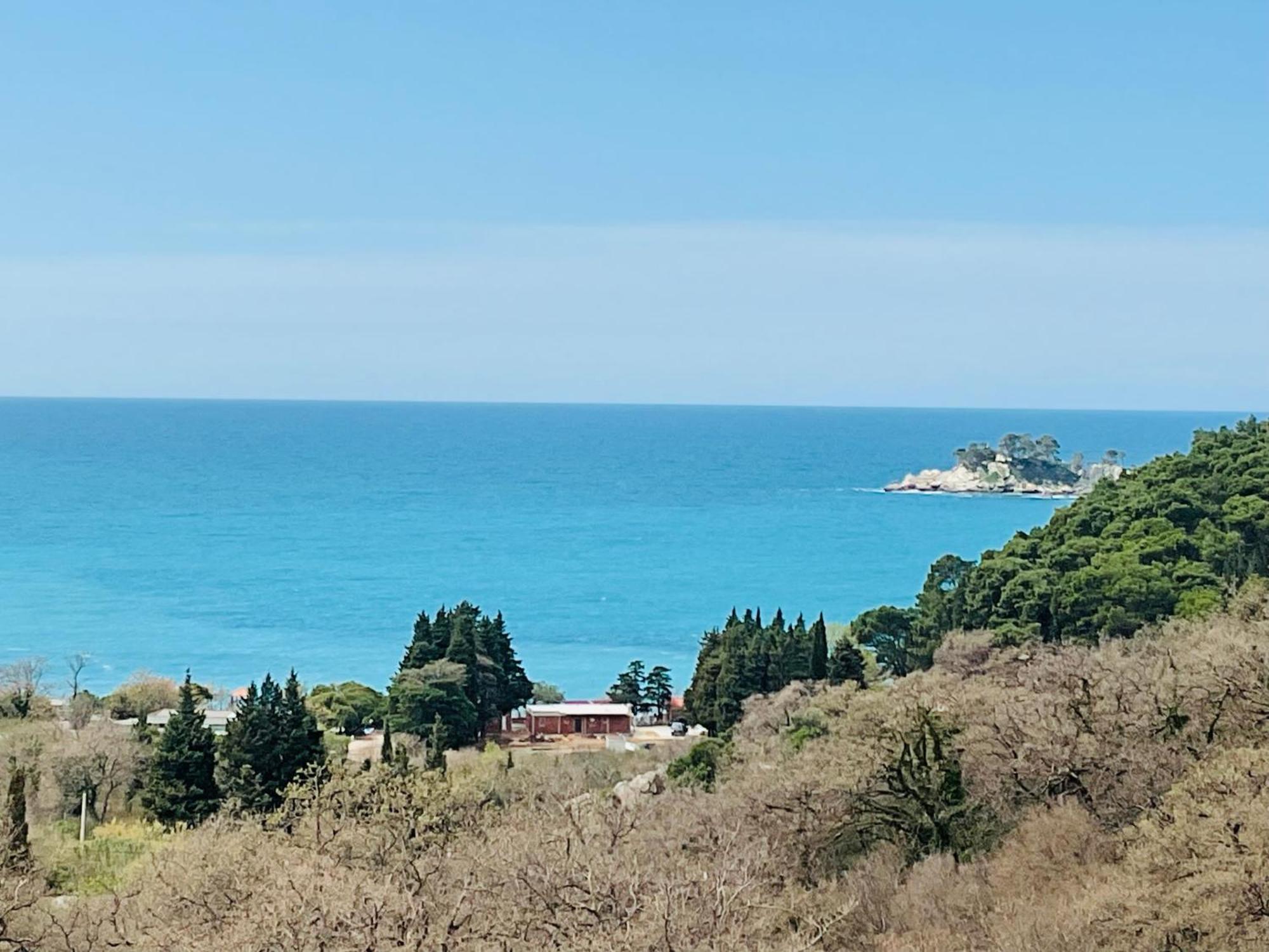 Apartments Villa Lazic Petrovazzo Esterno foto