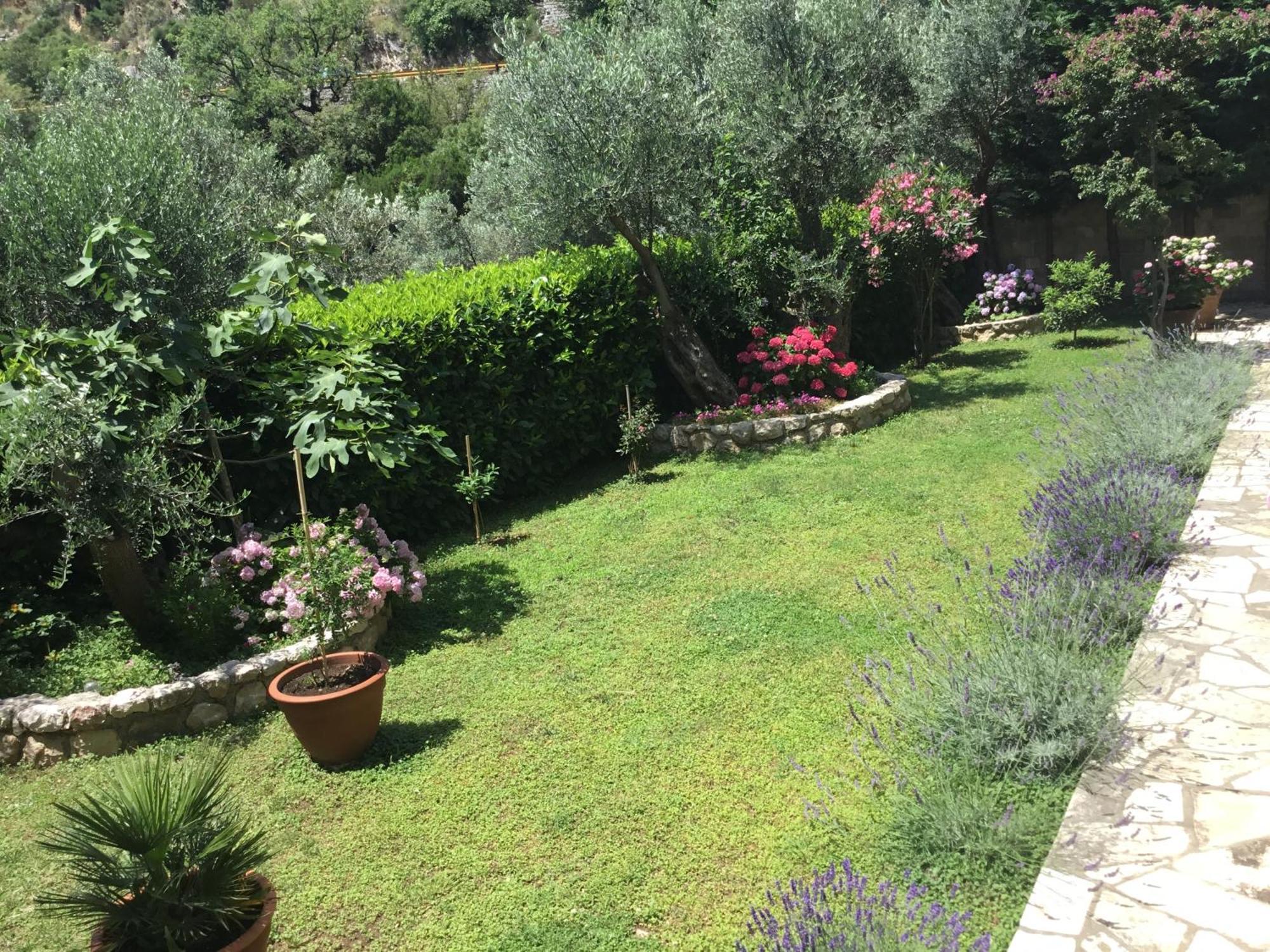 Apartments Villa Lazic Petrovazzo Esterno foto